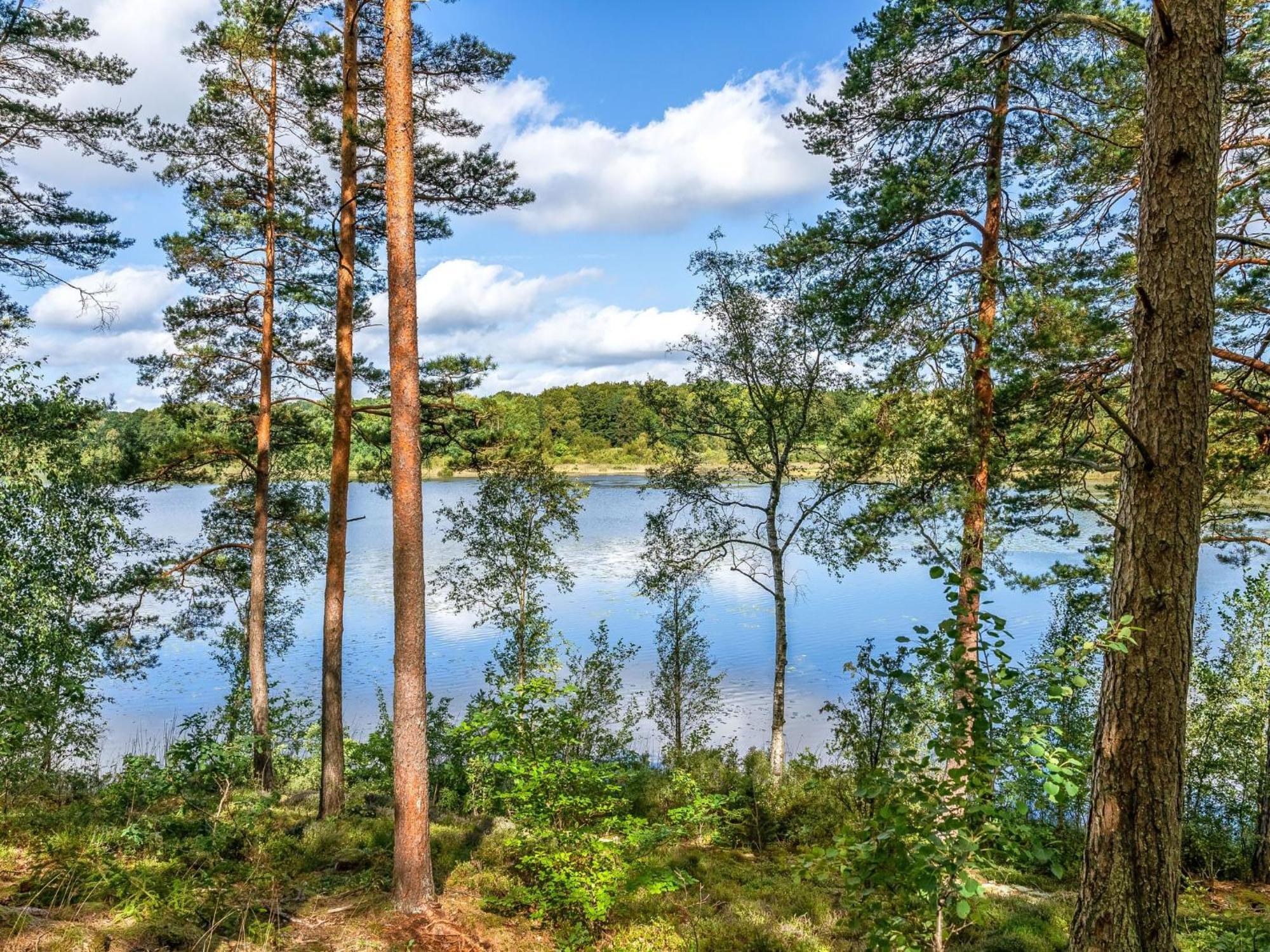 Holiday Home Gaslunda By Interhome Olofstrom Экстерьер фото